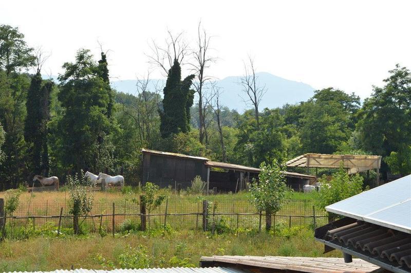 Hotel Cascina Scola Rivoli  Exterior foto